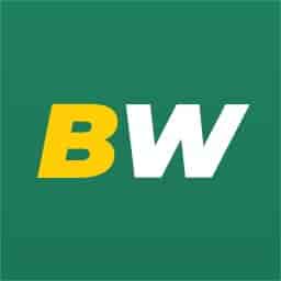 Bet Winner logo