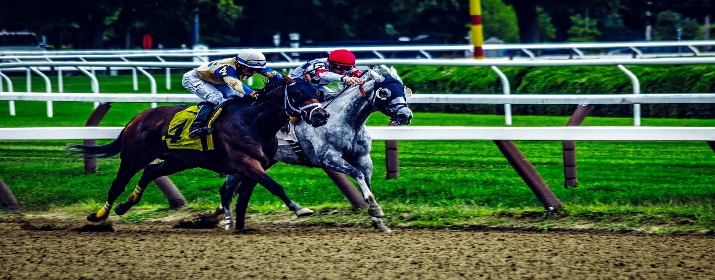Two horses are racing